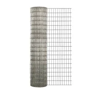 ss-welded-wire-mesh-roll